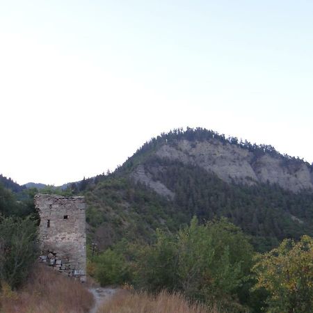 Dalko Hotel Borjomi Bagian luar foto