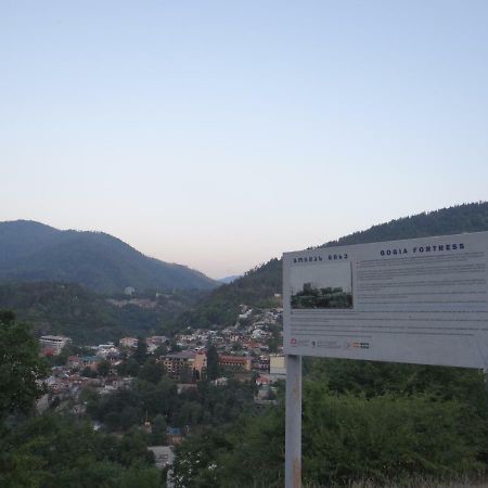 Dalko Hotel Borjomi Bagian luar foto