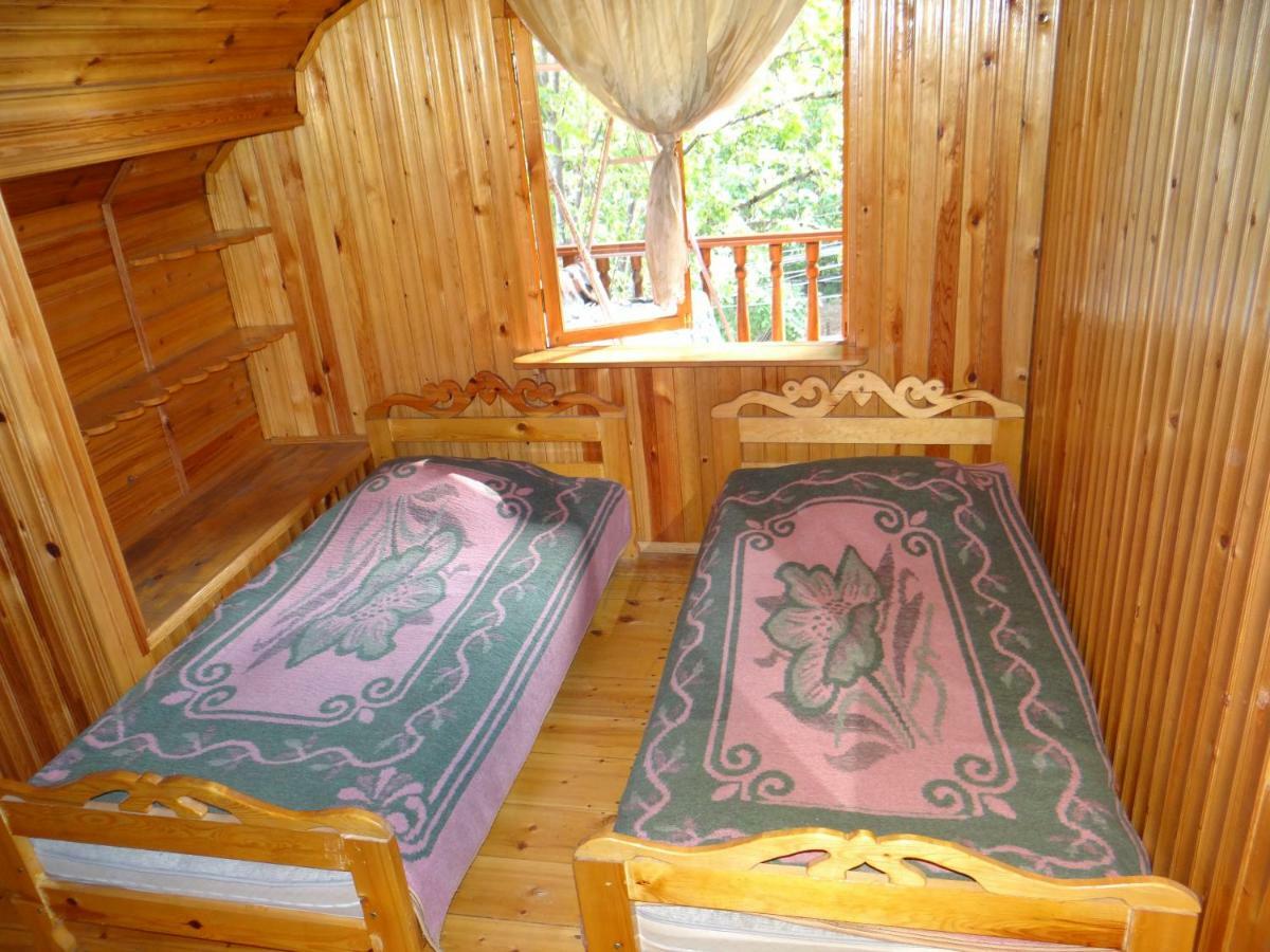 Dalko Hotel Borjomi Bagian luar foto