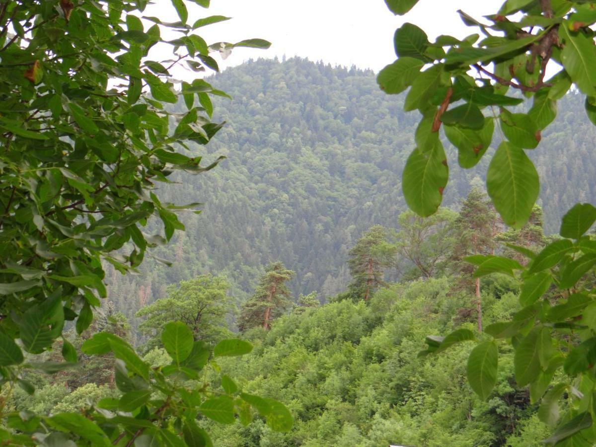 Dalko Hotel Borjomi Bagian luar foto
