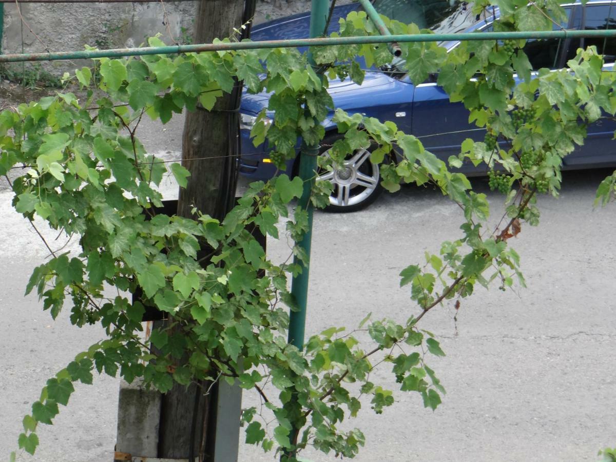 Dalko Hotel Borjomi Bagian luar foto