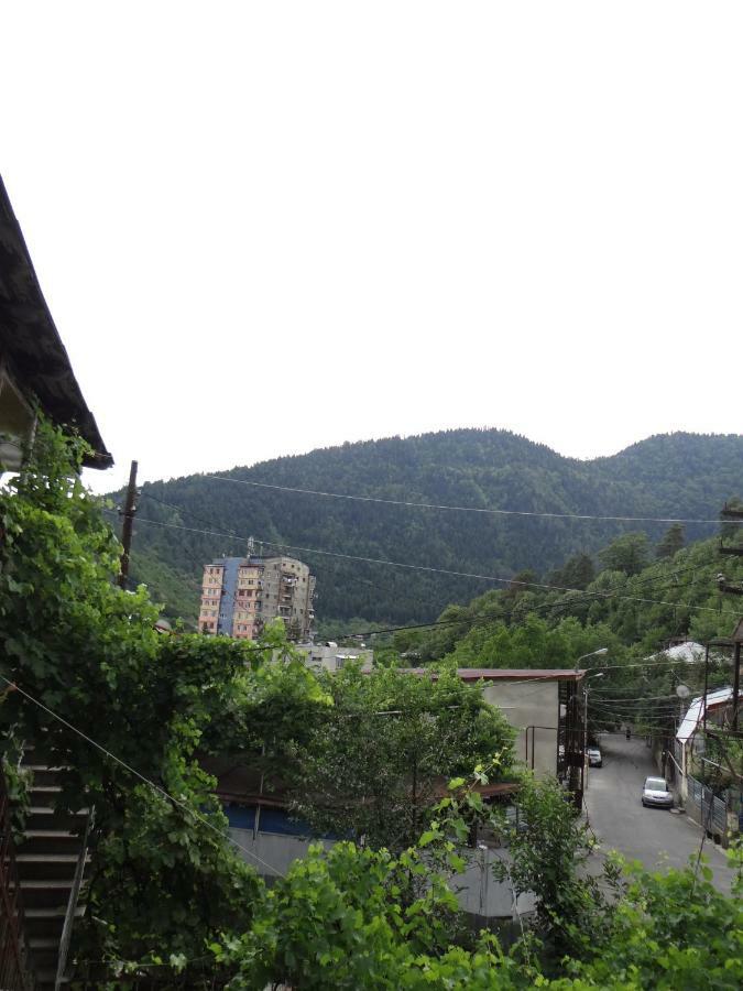 Dalko Hotel Borjomi Bagian luar foto