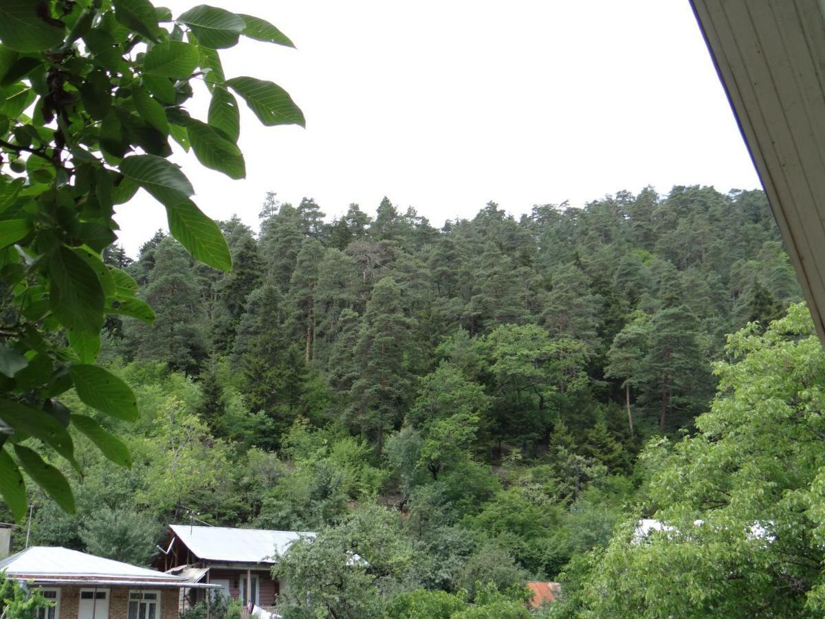 Dalko Hotel Borjomi Bagian luar foto