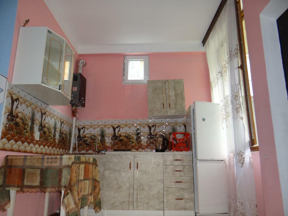 Dalko Hotel Borjomi Bagian luar foto