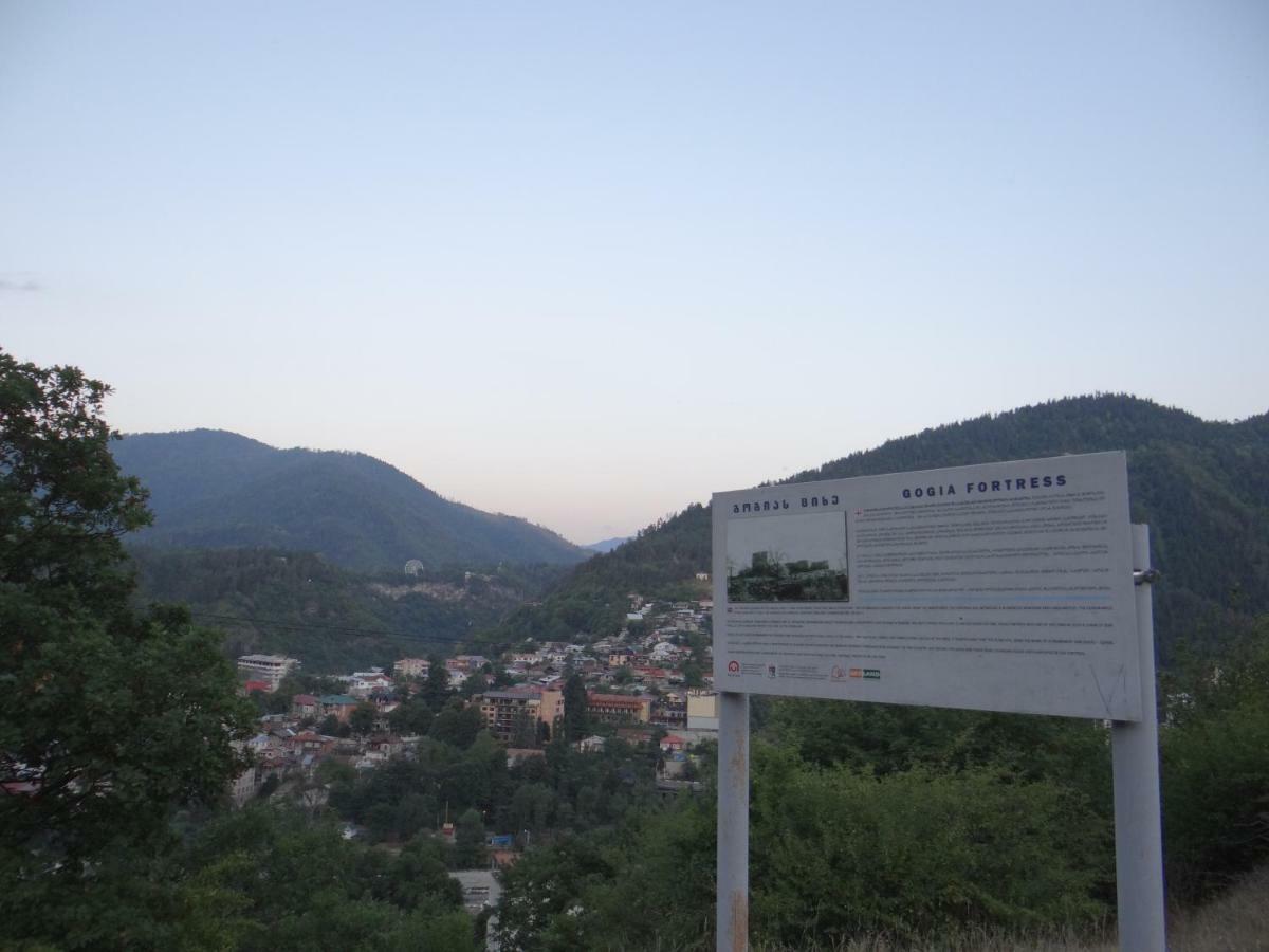 Dalko Hotel Borjomi Bagian luar foto