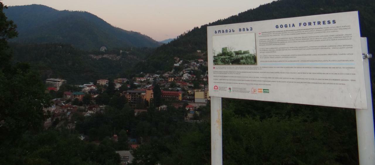 Dalko Hotel Borjomi Bagian luar foto